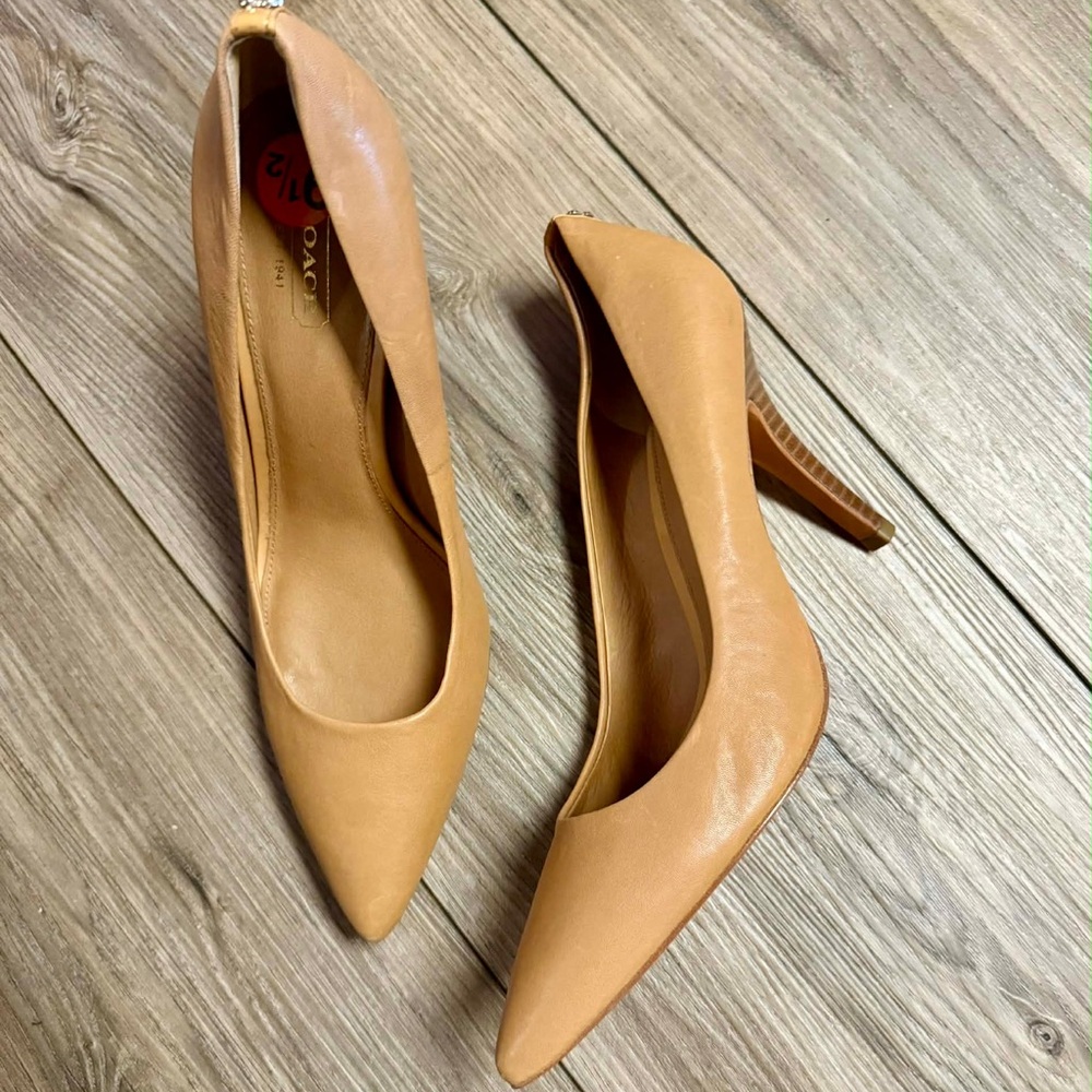 Coach Tan Heels
